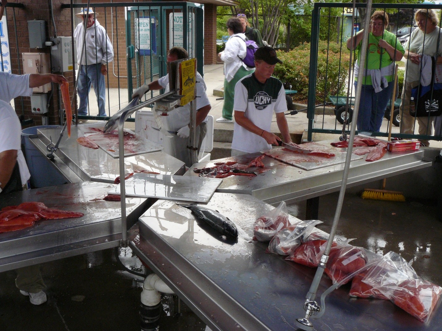 Fish cleaning station.jpg